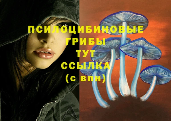 мяу мяу кристалл Медвежьегорск