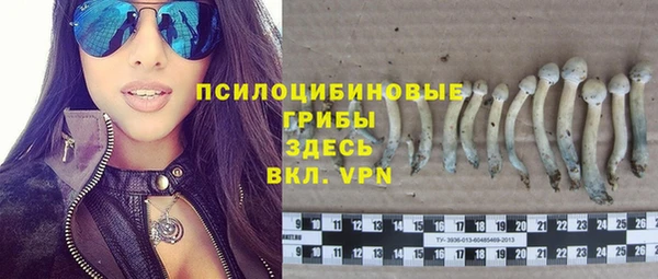 ешки Магас