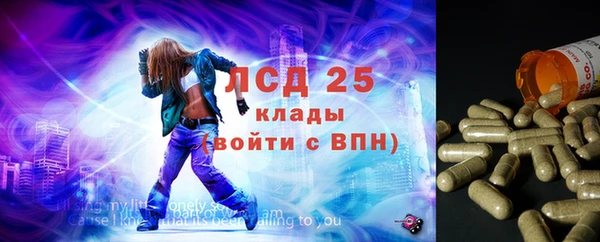 молекула духа Майский
