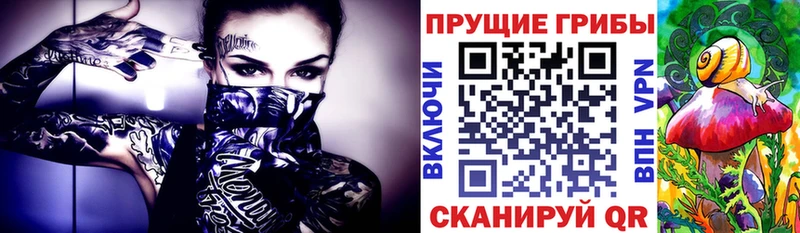 Галлюциногенные грибы мухоморы  закладка  Хасавюрт 