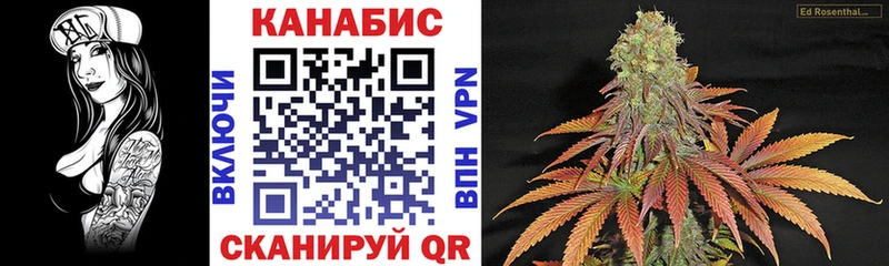 Бошки марихуана гибрид  где найти   Хасавюрт 